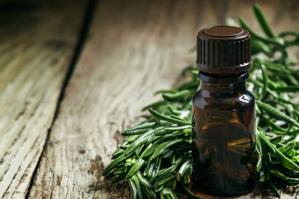 Điểm danh 9 thành phần tự nhiên chống mụn trứng cá cực hiệu quả - Ảnh 1